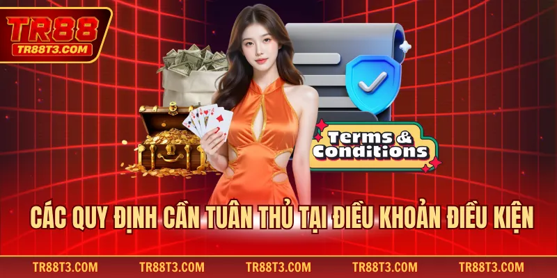 Các quy định cần tuân thủ tại điều khoản điều kiện