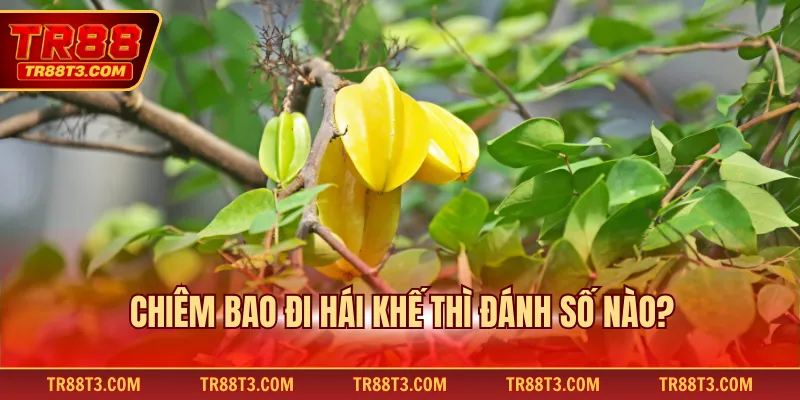 Chiêm bao đi hái khế thì đánh số nào?