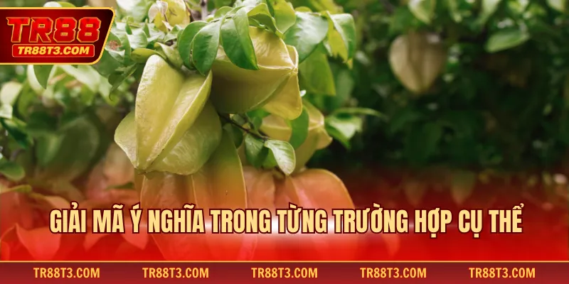 Giải mã ý nghĩa trong từng trường hợp cụ thể