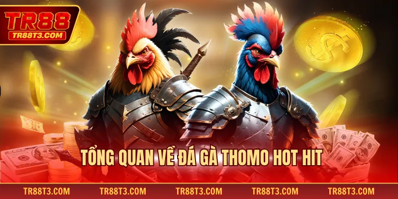Tổng quan về đá gà Thomo hot hit
